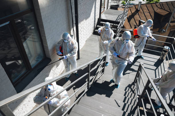 Reliable China, TX Mold Removal Solutions