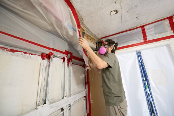 Best Mold Documentation for Insurance Claims  in China, TX