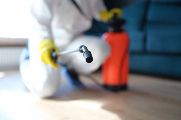 Best Industrial Mold Remediation  in China, TX