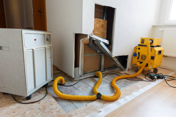 Best Biohazard Mold Removal  in China, TX