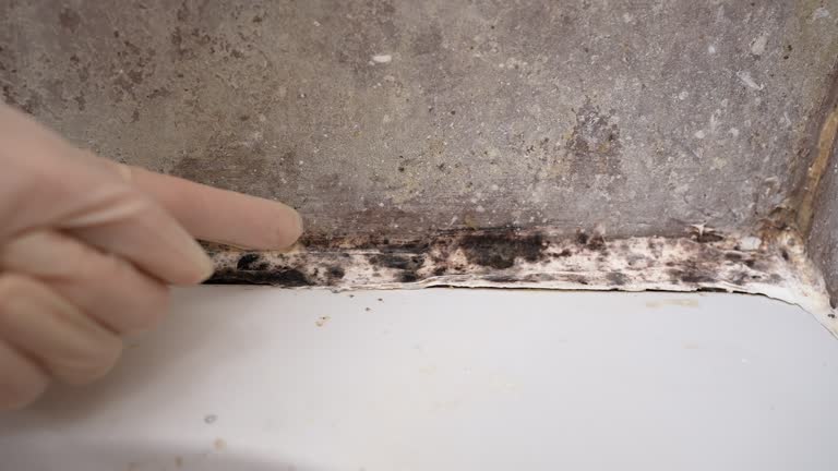 Mold Documentation for Insurance Claims in China, TX