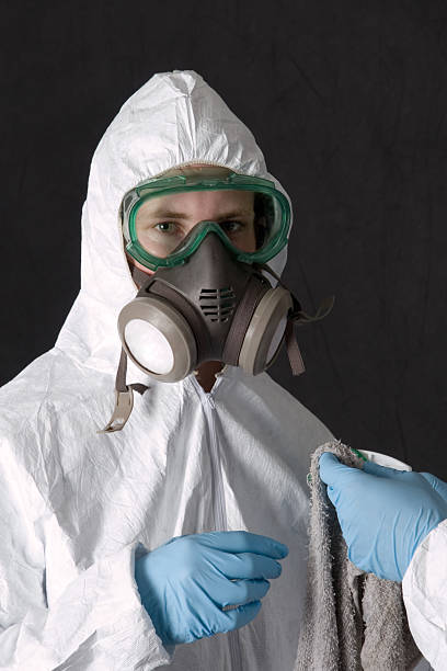  China, TX Mold Removal Pros